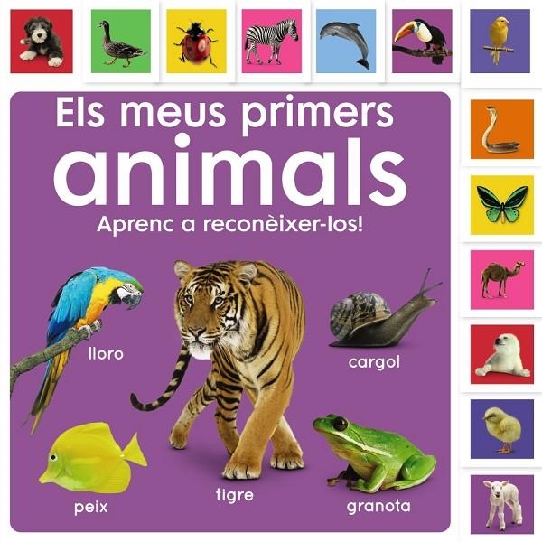 Els meus primers animals. Aprenc a reconèixer-los! | 9788413492476 | Sirett, Dawn | Llibreria online de Figueres i Empordà