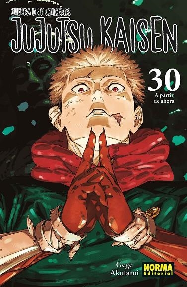 JUJUTSU KAISEN #30 | 9788467975833 | AKUTAMI, GEGE | Librería online de Figueres / Empordà