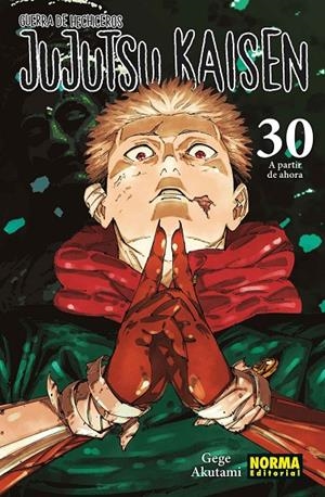JUJUTSU KAISEN #30 | 9788467975833 | AKUTAMI, GEGE | Librería online de Figueres / Empordà