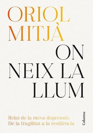 On neix la llum | 9788466434751 | Mitjà, Oriol | Llibreria online de Figueres i Empordà