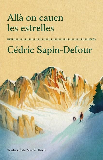 Allà on cauen les estrelles | 9788417353711 | Cédric Sapin-Defour | Llibreria online de Figueres i Empordà
