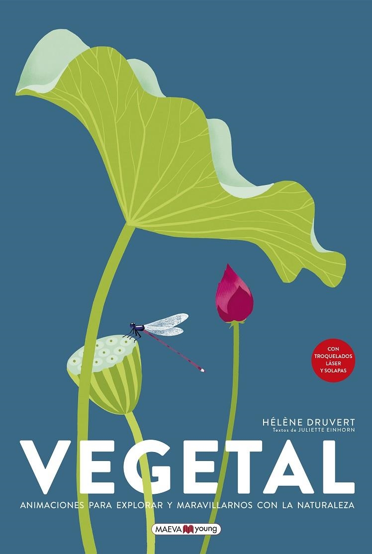 Vegetal | 9788419110879 | Druvert, Hélène | Llibreria online de Figueres i Empordà