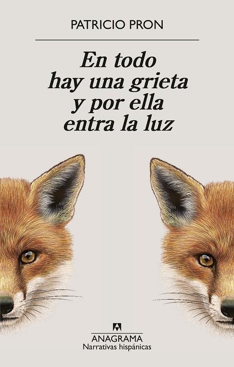 En todo hay una grieta y por ella entra la luz | 9788433949158 | Pron, Patricio | Llibreria online de Figueres i Empordà