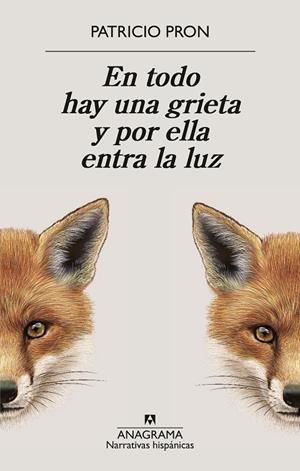 En todo hay una grieta y por ella entra la luz | 9788433949158 | Pron, Patricio | Llibreria online de Figueres i Empordà