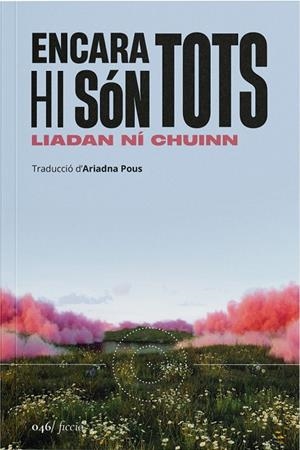 Encara hi són tots | 9788419059598 | Ní Chuinn, Liadan | Llibreria online de Figueres i Empordà