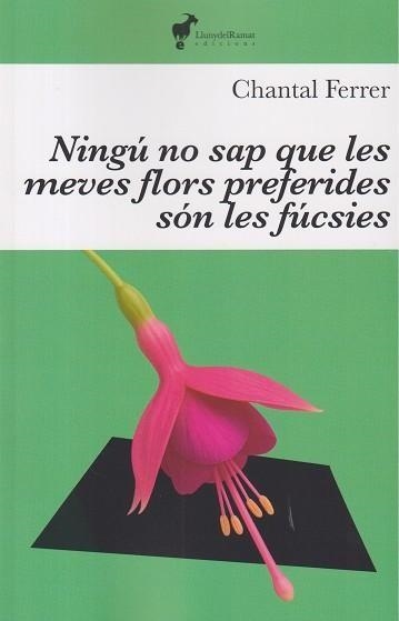 NINGÚ SAP QUE LES MEVES FLORS PREFERIDES SÓN LES FUCSIES | 9791399153620 | Ferrer, Chantal | Librería online de Figueres / Empordà
