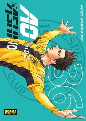 AO ASHI #36 | 9788467979022 | Kobayashi, Yugo | Llibreria online de Figueres i Empordà