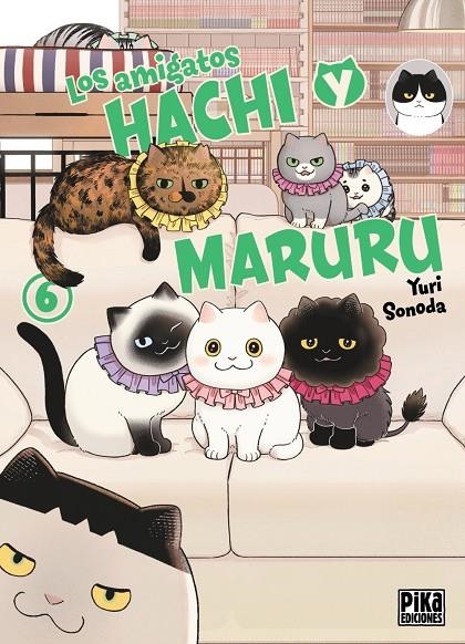 Los amigatos Hachi y Maruru #06 | 9791043304279 | Sonoda, Yuri | Librería online de Figueres / Empordà