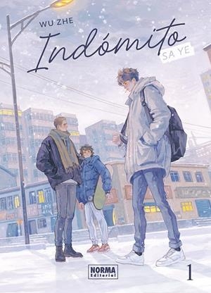 INDOMITO: SA YE #01 | 9788467983685 | ZHE, WU | Llibreria online de Figueres i Empordà