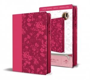 Biblia Reina Valera 1960 letra grande. Símil fucsia | 9781644733851 | Reina Valera Revisada | Llibreria online de Figueres i Empordà