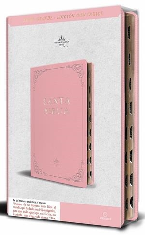 Biblia RVR 1960 Simil Piel Rosada tamaño manual Nombres de Dios | 9798890982131 | Reina Valera Revisada | Llibreria online de Figueres i Empordà
