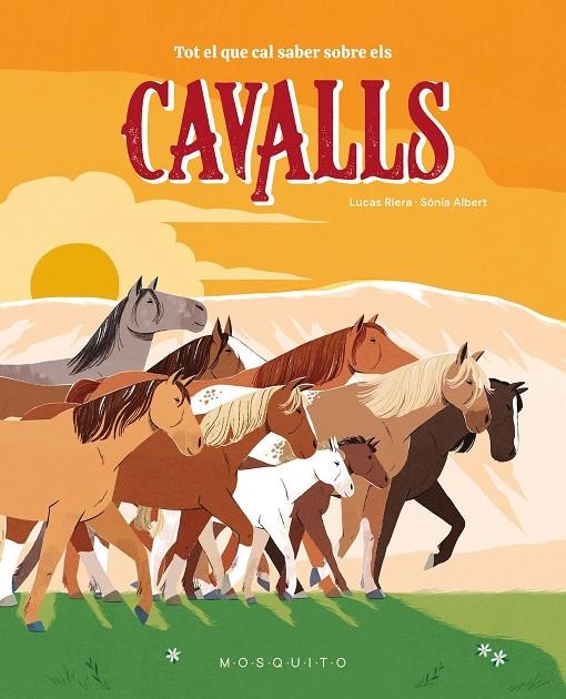 Tot el que cal saber sobre els cavalls | 9788410417359 | Riera, Lucas | Llibreria online de Figueres i Empordà