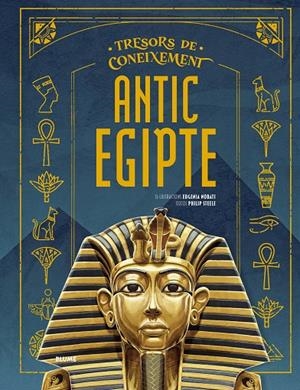 Tresors coneixements. Antic Egipte | 9791387881221 | Nobati, Eugenia/Steele, Philip | Librería online de Figueres / Empordà