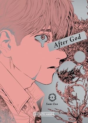 After God #06 (Shônen) | 9788410305939 | Eno, Sumi | Llibreria online de Figueres i Empordà