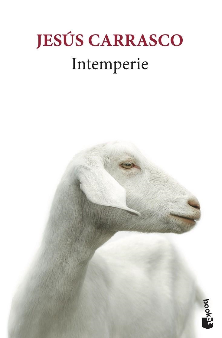 Intemperie | 9788432235757 | Carrasco, Jesús | Llibreria online de Figueres i Empordà