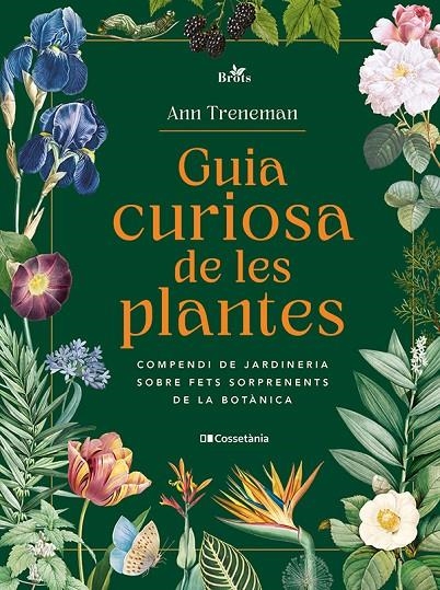 Guia curiosa de les plantes | 9788413565354 | Treneman, Ann | Librería online de Figueres / Empordà