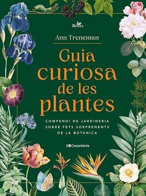 Guia curiosa de les plantes | 9788413565354 | Treneman, Ann | Librería online de Figueres / Empordà