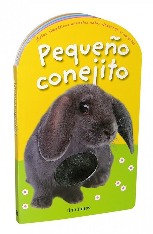 Pequeño conejito | 9788408084907 | Varios Autores | Llibreria online de Figueres i Empordà