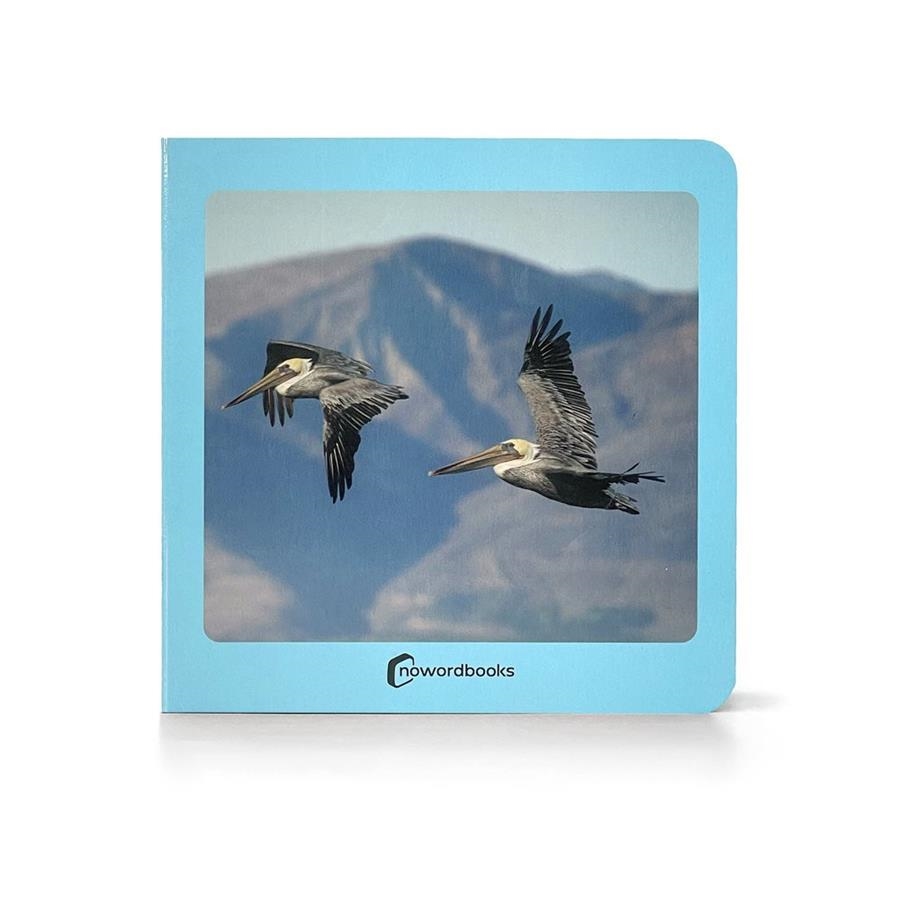 AVES // AUS (FOTO) | 9788412534498 | Llibreria online de Figueres i Empordà