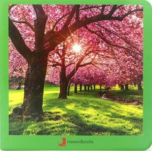Primavera (FOTO) | 9788412171006 | Llibreria online de Figueres i Empordà