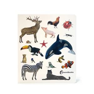 ¡Animales! // Animals (FOTO) | 9788412906882 | Nowordbooks | Llibreria online de Figueres i Empordà
