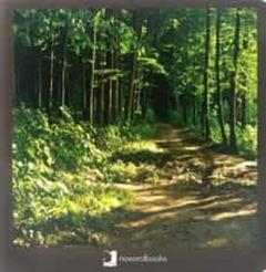 El bosque // El bosc (FOTO) | 9788412171020 | Nowordbooks | Llibreria online de Figueres i Empordà