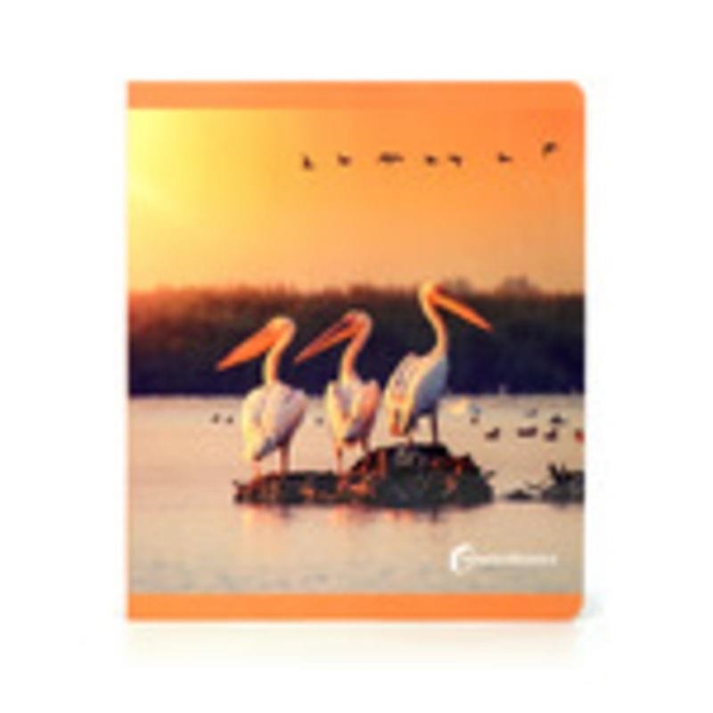 Aves // Aus -GRAN FORMAT- (FOTO) | 9788412804331 | Llibreria online de Figueres i Empordà