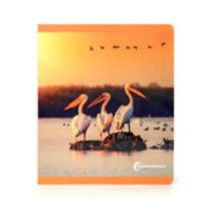 Aves // Aus -GRAN FORMAT- (FOTO) | 9788412804331 | Llibreria online de Figueres i Empordà