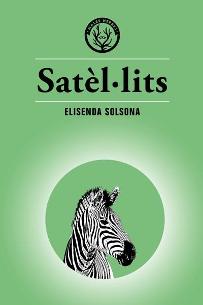 Satèl·lits | 9788494917073 | Solsona Margarit, Elisenda | Librería online de Figueres / Empordà