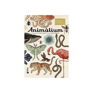 Animàlium (CAT) | 9788415315223 | Scott, Katie | Librería online de Figueres / Empordà