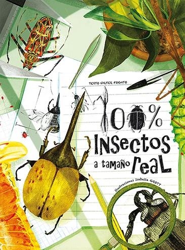 100% INSECTOS A TAMAÑO REAL | 9788417452216 | FOGATO, VALTER | Librería online de Figueres / Empordà