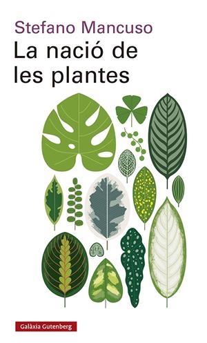 La nació de les plantes | 9788417971564 | Mancuso, Stefano | Llibreria online de Figueres i Empordà