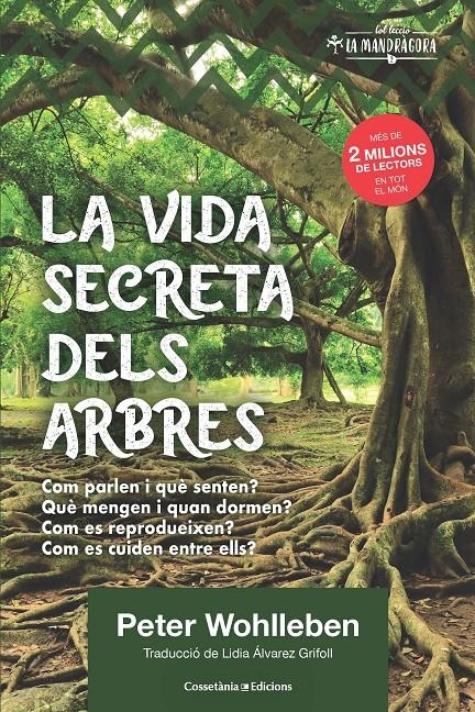 La vida secreta dels arbres | 9788490348901 | Wohlleben, Peter | Llibreria online de Figueres i Empordà