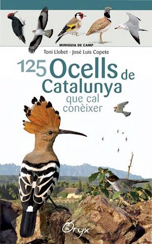 125 ocells de Catalunya | 9788490346747 | Llobet François, Toni/Copete, José Luis | Librería online de Figueres / Empordà