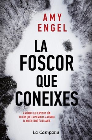 La foscor que coneixes | 9788416863730 | Engel, Amy | Librería online de Figueres / Empordà