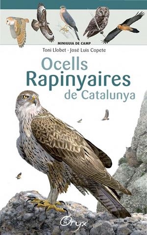 Ocells rapinyaires de Catalunya | 9788490346785 | Llobet François, Toni/Copete, José Luis | Librería online de Figueres / Empordà