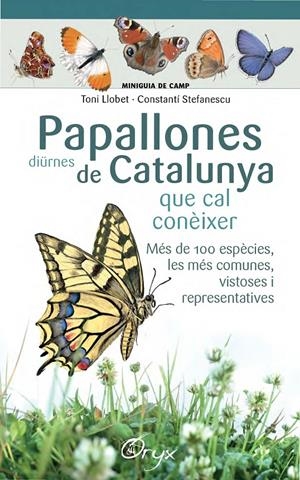 Papallones diürnes de Catalunya | 9788490346754 | Llobet François, Toni/Stefanescu, Constantí | Librería online de Figueres / Empordà