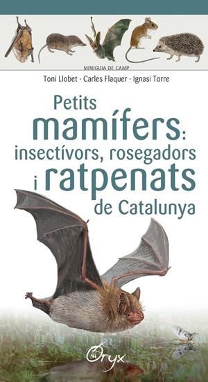 Petits mamífers: insectívors, rosegadors i ratpenats de Catalunya | 9788490348956 | Llobet François , Toni/Flaquer XX, Carles/Torre XX, Ignasi | Librería online de Figueres / Empordà