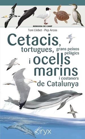 Cetacis, tortugues, grans peixos pelàgics i ocells marins de Catalunya | 9788490349441 | Llobet François, Toni/Arcos xx, Pep | Librería online de Figueres / Empordà