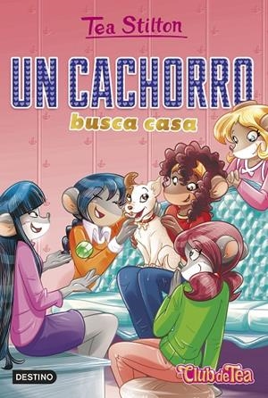Un cachorro busca casa | 9788408231226 | Stilton, Tea | Llibreria online de Figueres i Empordà