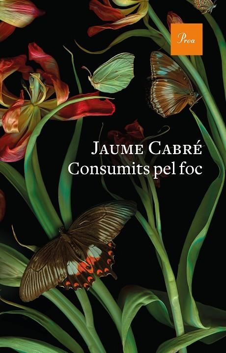Consumits pel foc | 9788475888835 | Cabré, Jaume | Llibreria online de Figueres i Empordà