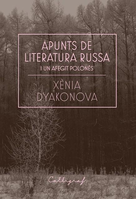 Apunts de literatura russa i un afegit polonès | 9788412212358 | Dyakonova, Xènia | Librería online de Figueres / Empordà