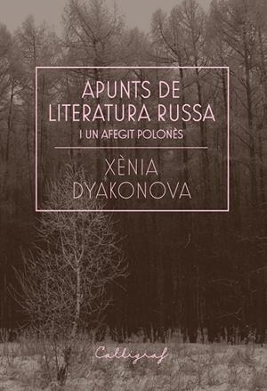 Apunts de literatura russa i un afegit polonès | 9788412212358 | Dyakonova, Xènia | Librería online de Figueres / Empordà