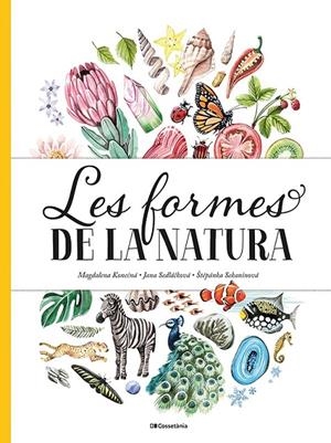 Les formes de la natura | 9788413560434 | Sedlackova, Jana/Sekaninova, Stepanka | Llibreria online de Figueres i Empordà