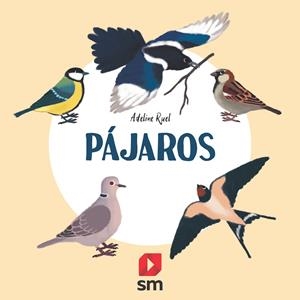 PÁJAROS | 9788413188607 | Ruel, Adeline | Llibreria online de Figueres i Empordà