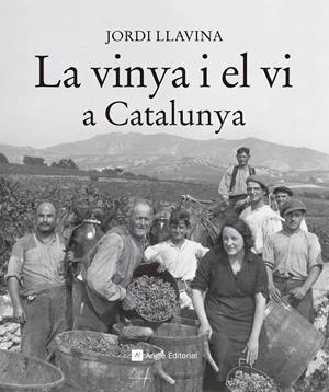 La vinya i el vi a Catalunya | 9788416139187 | Llavina Murgadas, Jordi | Llibreria online de Figueres i Empordà