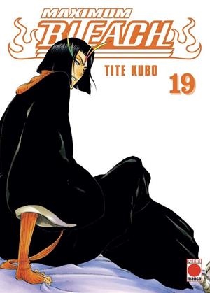 BLEACH MAXIMUM #19 | 9788411010627 | Kubo, Tite | Llibreria online de Figueres i Empordà