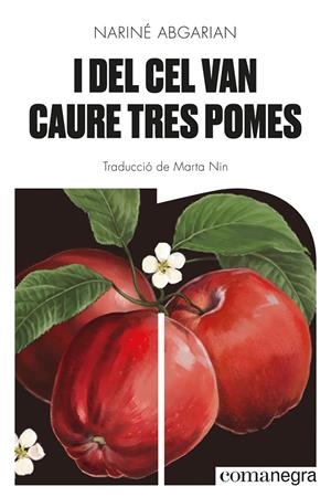 I del cel van caure tres pomes | 9788418857041 | Abgarian, Nariné | Librería online de Figueres / Empordà