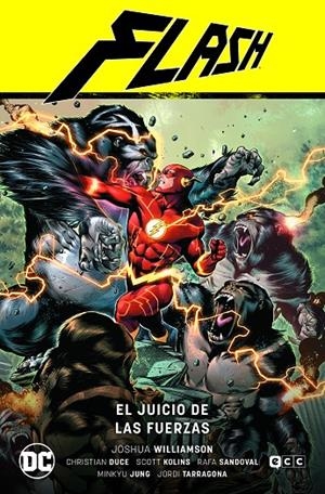Flash vol. 07: El juicio de las fuerzas (Flash Saga - La búsqueda de la Fuerza PARTE 1) | 9788418742255 | Williamson, Joshua | Llibreria online de Figueres i Empordà