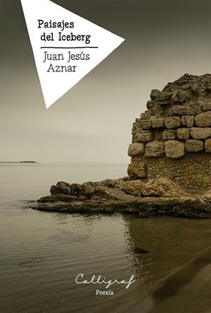 Paisajes del Iceberg | 9788412459241 | Aznar del Águila, Juan Jesús | Librería online de Figueres / Empordà